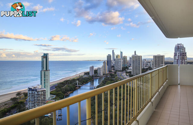 312/1 Serisier Avenue MAIN BEACH QLD 4217