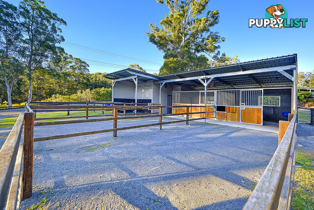 5 Chesterton Road GUANABA QLD 4210