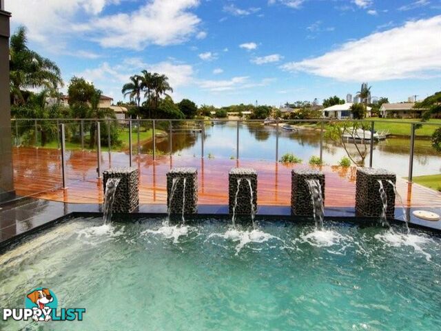 6 La Spezia Court ISLE OF CAPRI QLD 4217