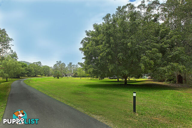 36 Lanes Road WONGAWALLAN QLD 4210