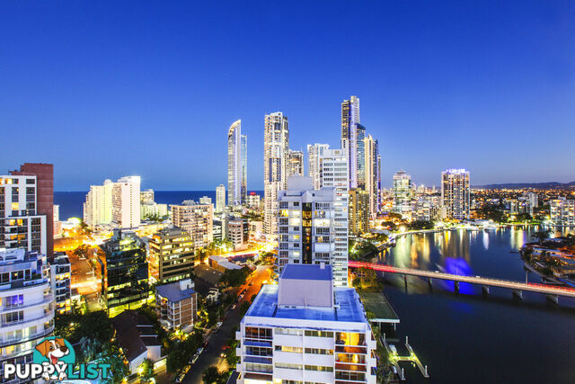 48/40 Riverview Parade SURFERS PARADISE QLD 4217