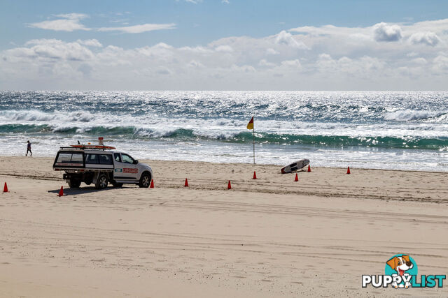 3513 Main Beach Parade MAIN BEACH QLD 4217