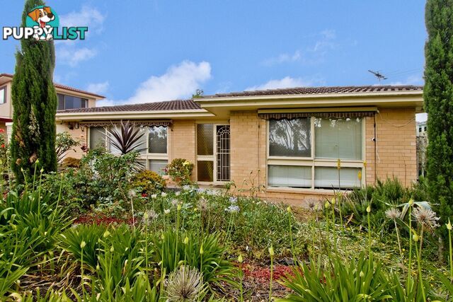 41 Brookvale Road WINDSOR GARDENS SA 5087