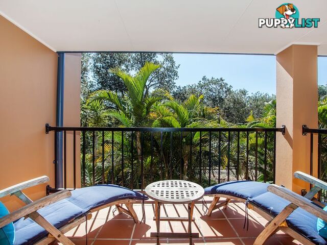 3/25 CAVVANBAH STREET BYRON BAY NSW 2481