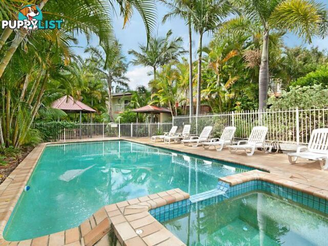 6/37 Childe Street BYRON BAY NSW 2481