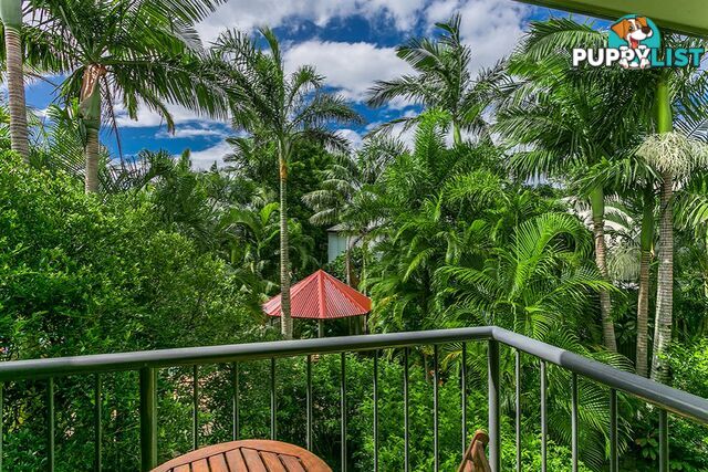 6/37 Childe Street BYRON BAY NSW 2481