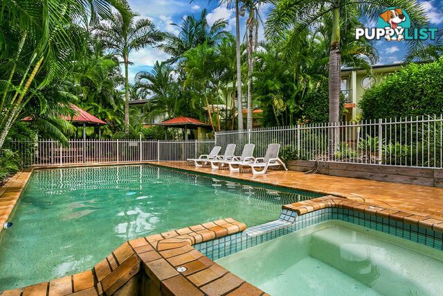 6/37 Childe Street BYRON BAY NSW 2481