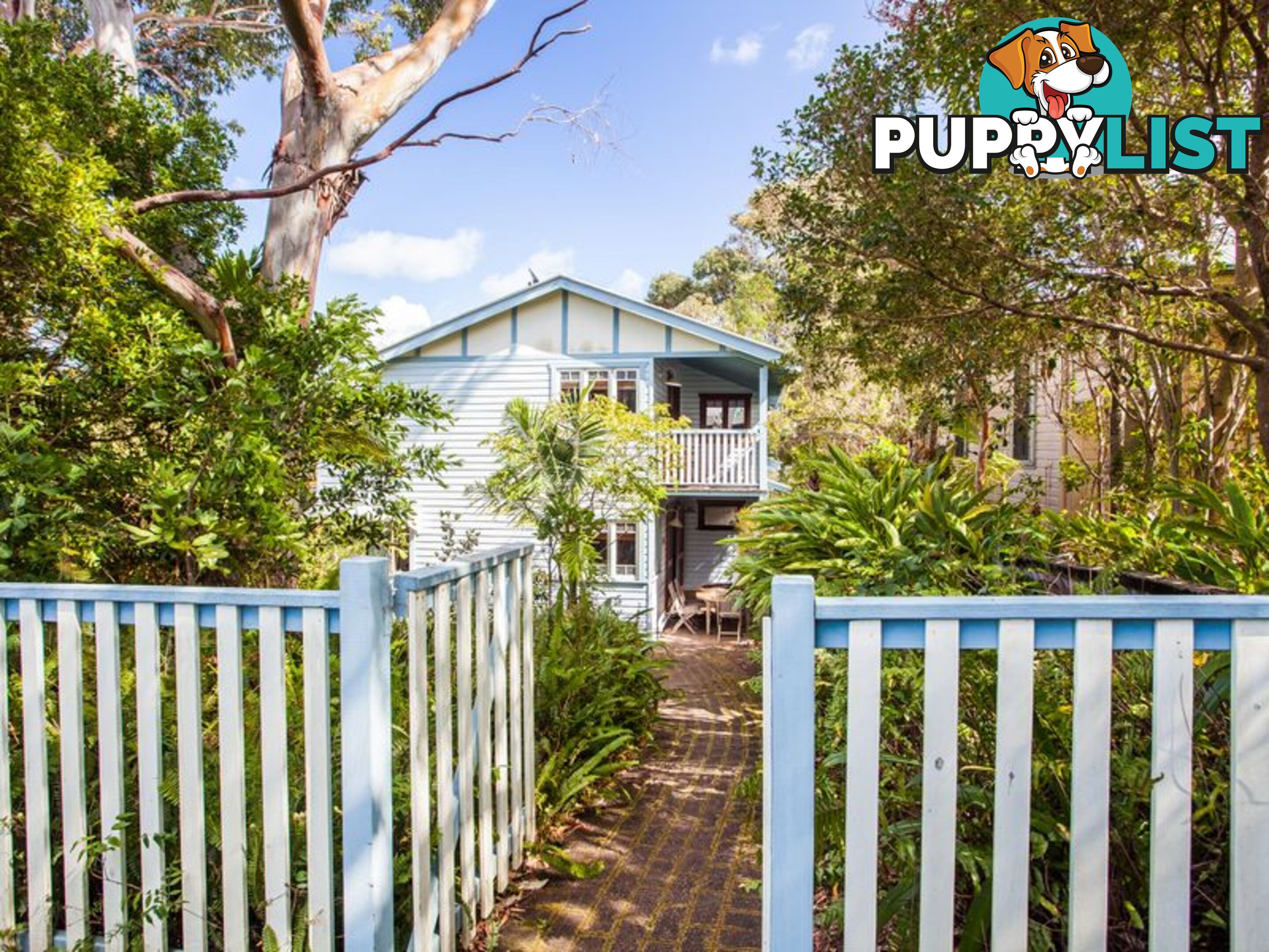 53 Massinger Street BYRON BAY NSW 2481