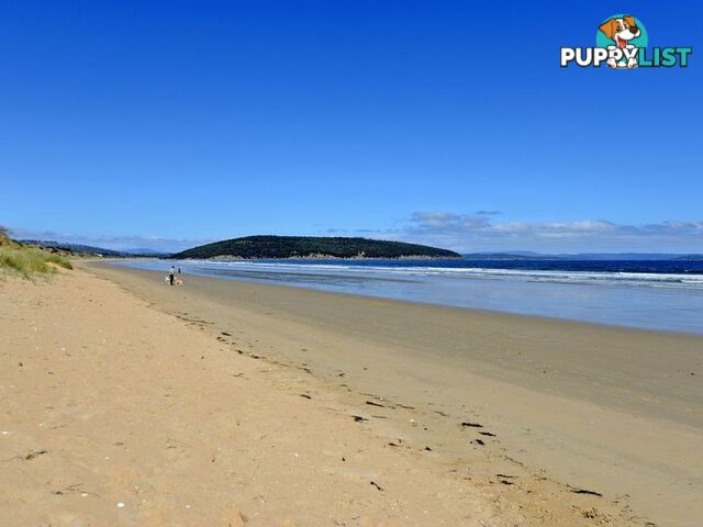 230 Carlton Beach Road DODGES FERRY TAS 7173