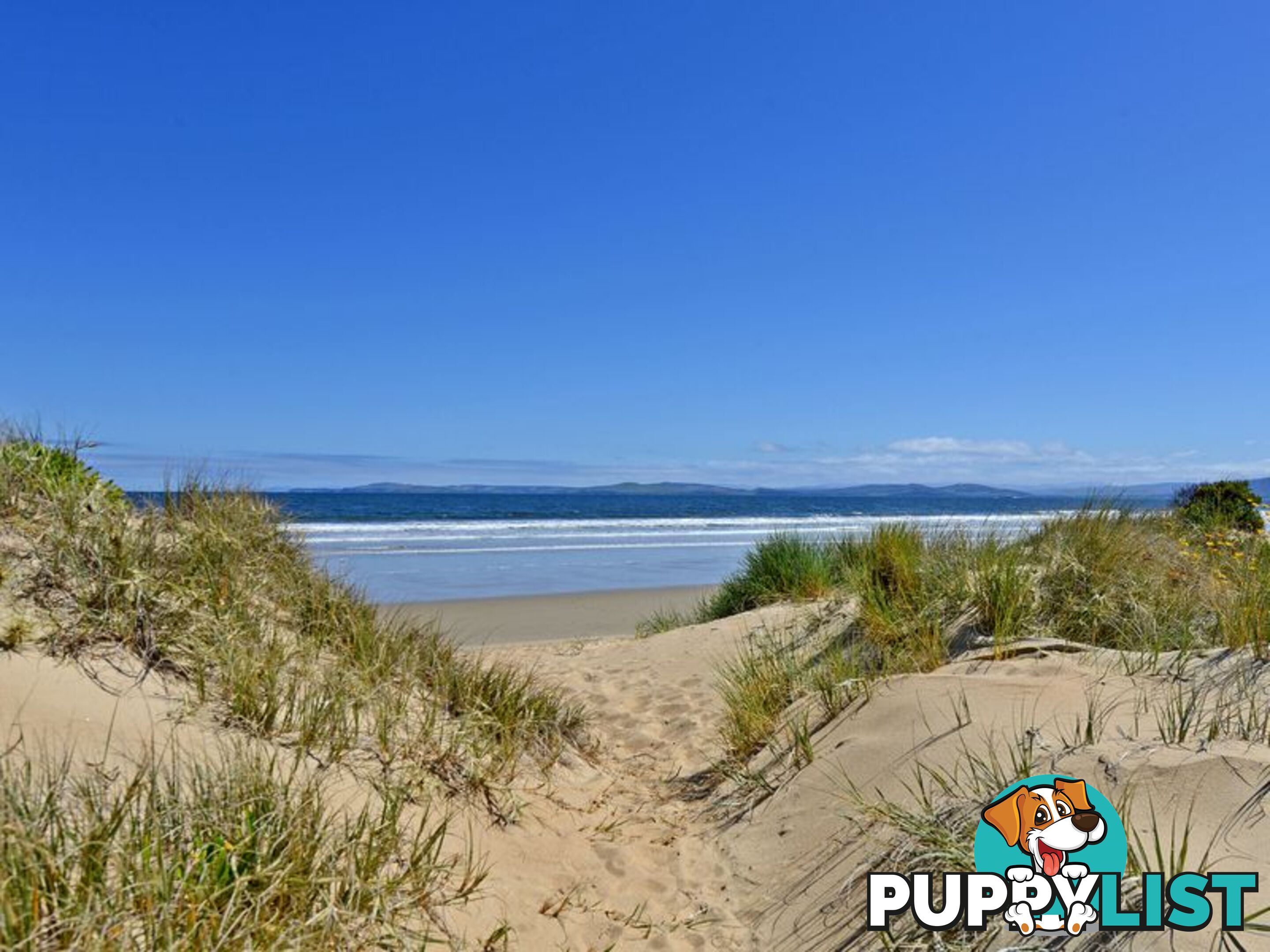230 Carlton Beach Road DODGES FERRY TAS 7173