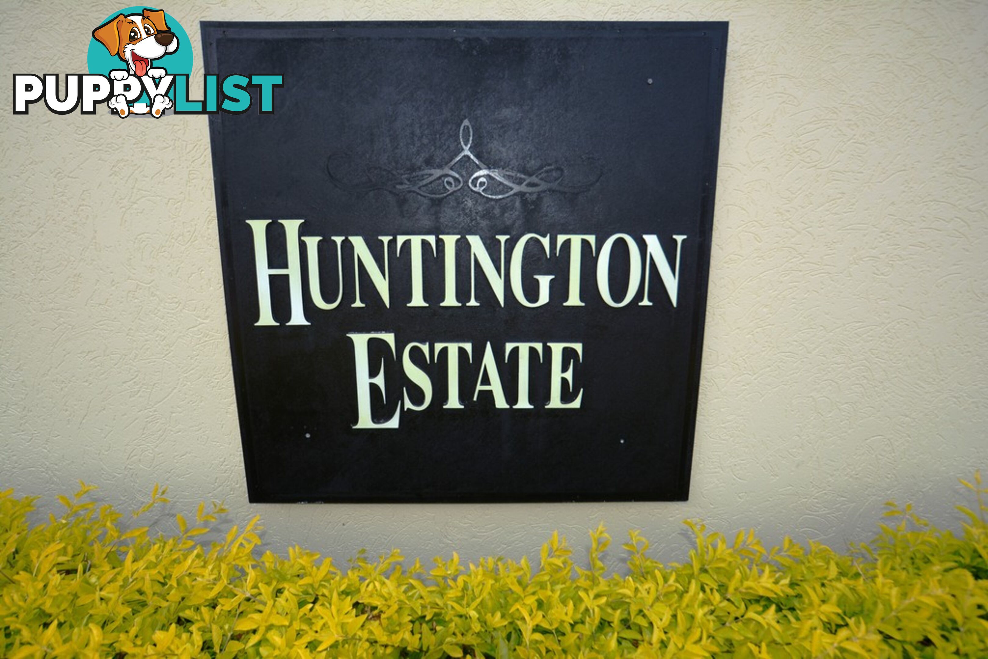 39/14 Everest Street WARNER QLD 4500
