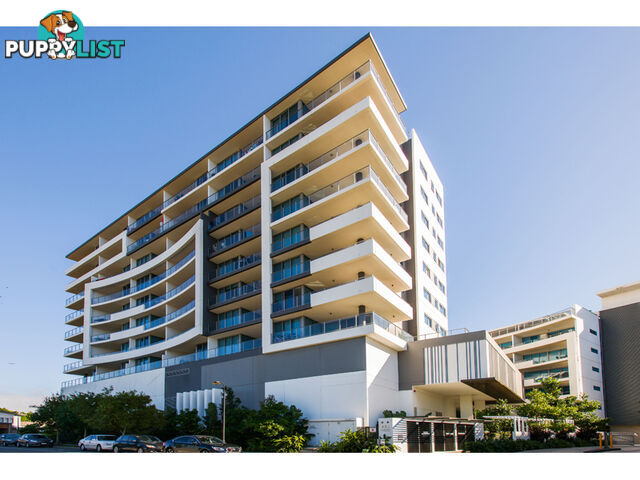 201/43 HARBOUR TOWN DRIVE BIGGERA WATERS QLD 4216