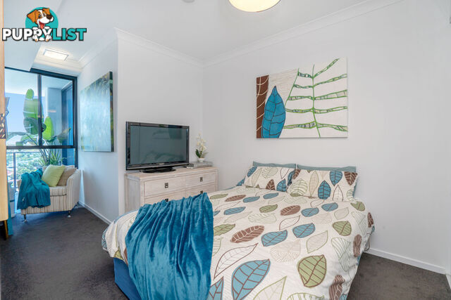 3704 / 5 HARBOURSIDE COURT BIGGERA WATERS QLD 4216