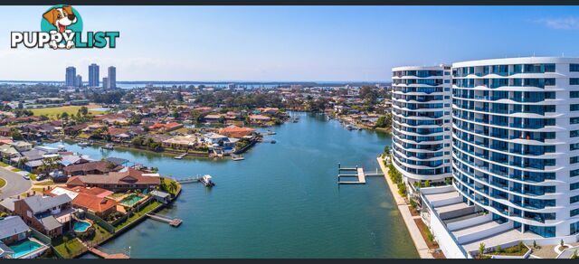 3704 / 5 HARBOURSIDE COURT BIGGERA WATERS QLD 4216