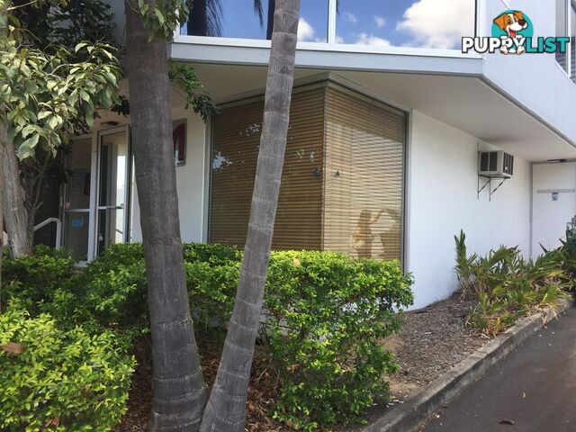 49 BUTTERFIELD ST HERSTON QLD 4006