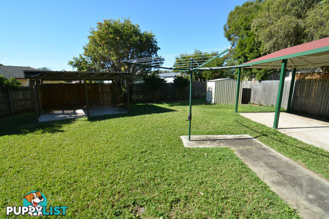 17 Brant Street BRACKEN RIDGE QLD 4017