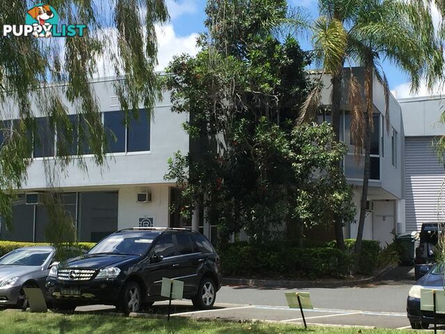8 /49 BUTTERFIELD ST HERSTON QLD 4006
