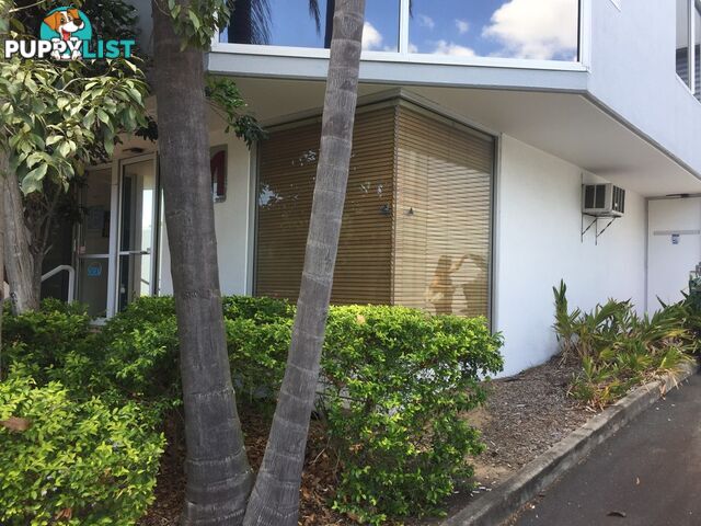 8 /49 BUTTERFIELD ST HERSTON QLD 4006