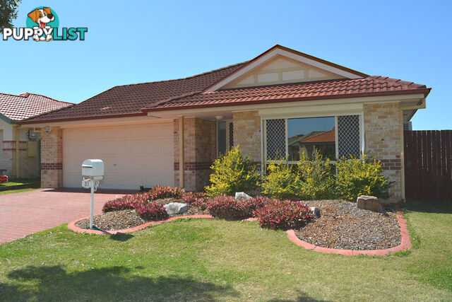 31 Beresford Circuit BRACKEN RIDGE QLD 4017