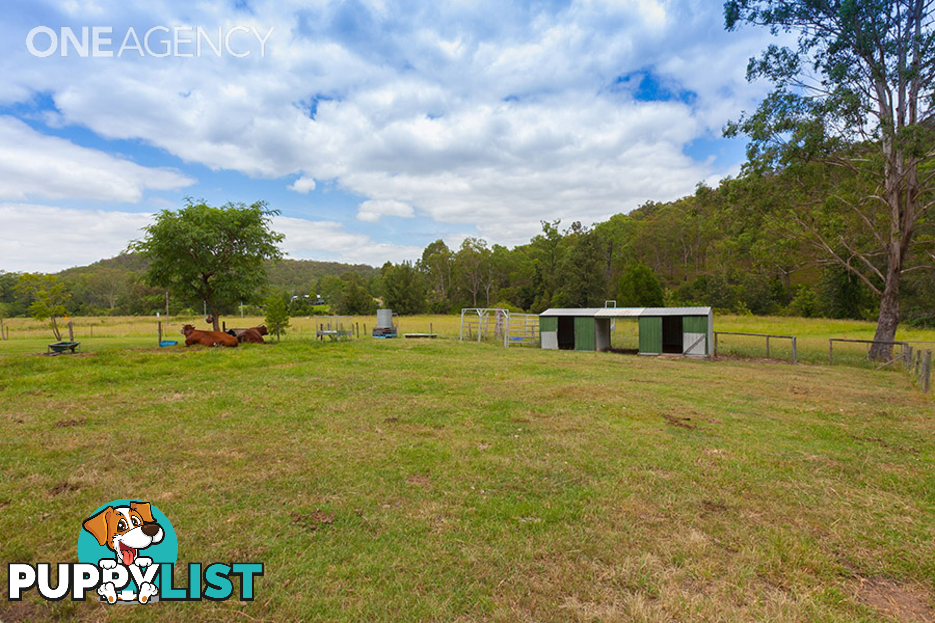 8 Forest Home Road RATHDOWNEY QLD 4287