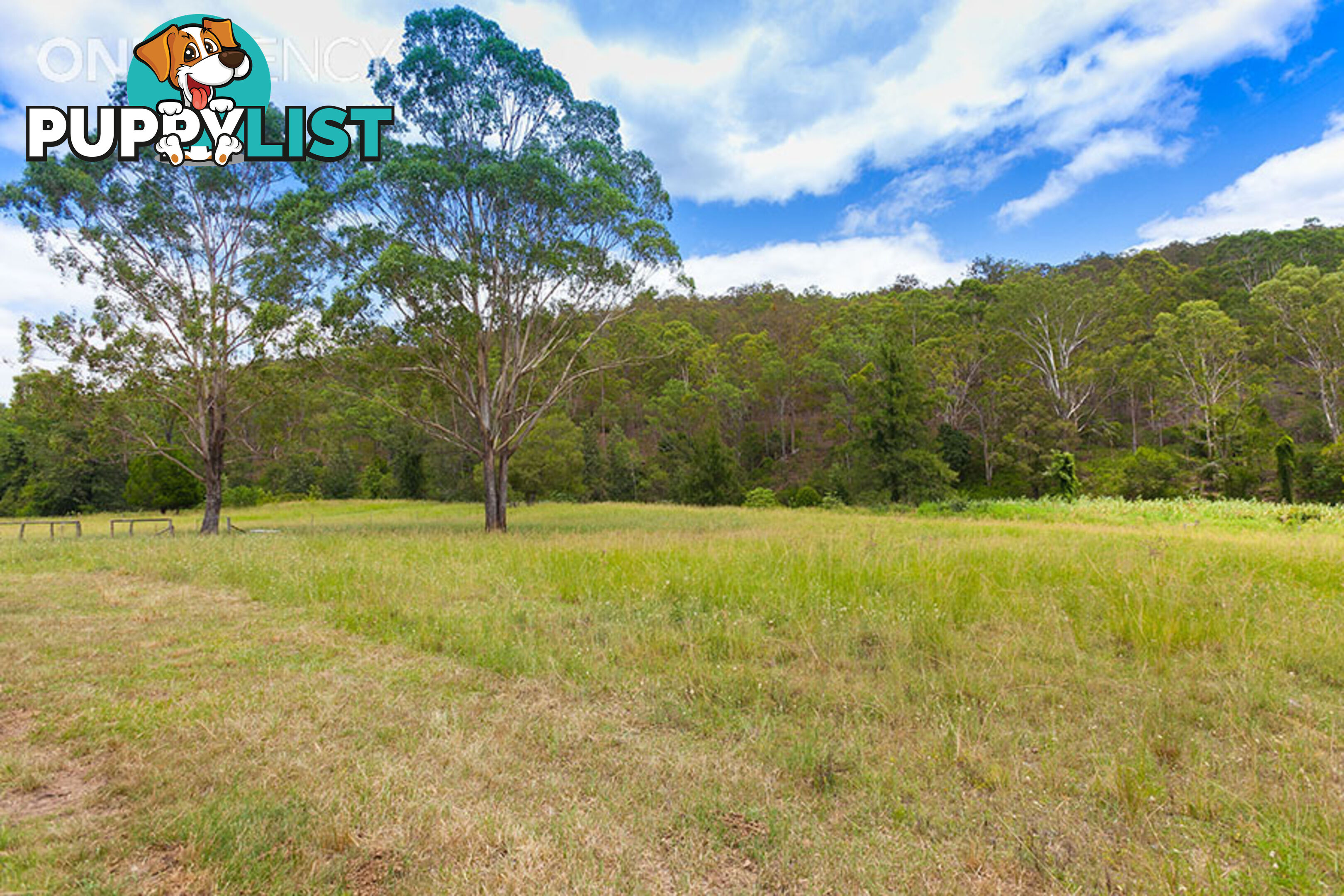 8 Forest Home Road RATHDOWNEY QLD 4287