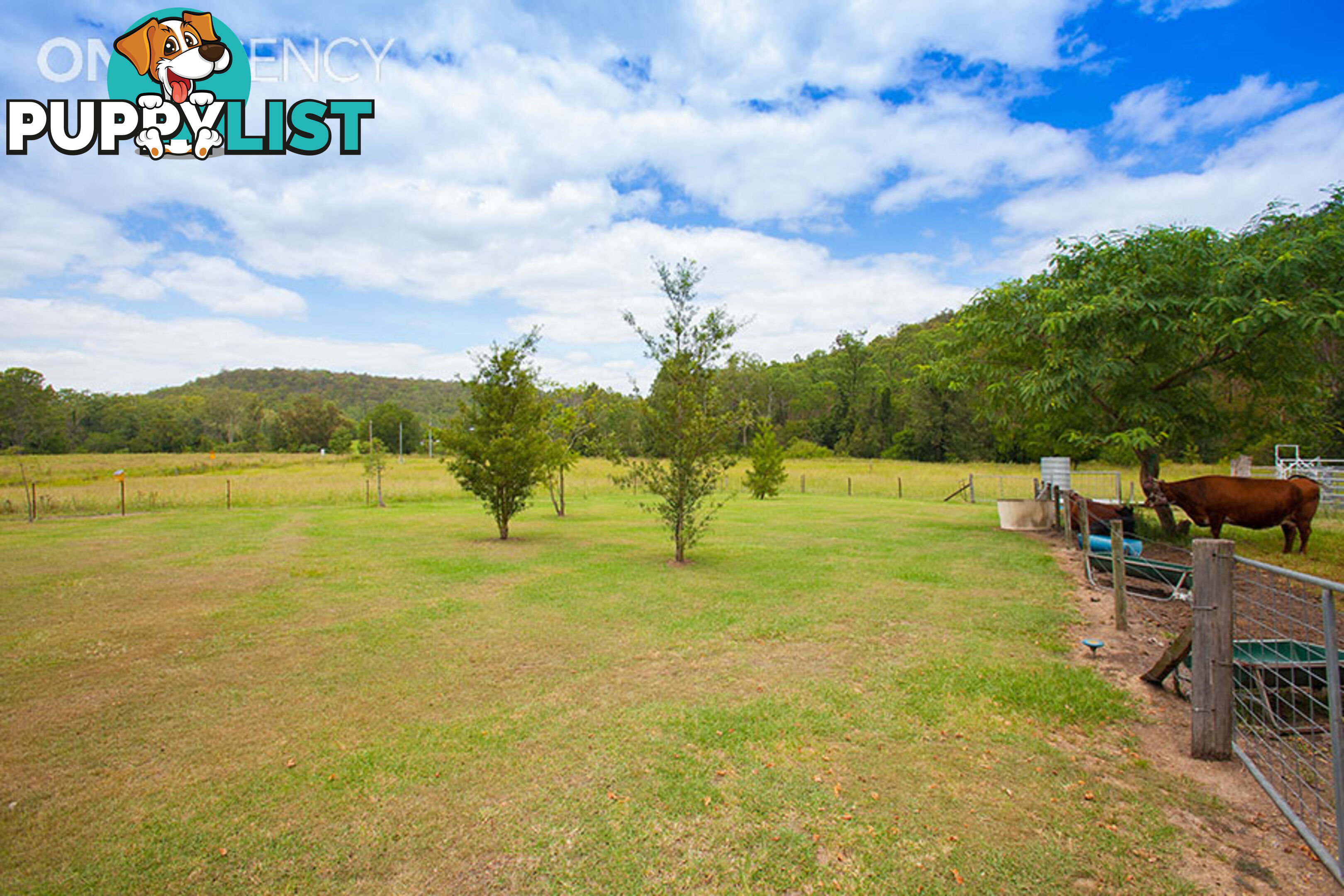 8 Forest Home Road RATHDOWNEY QLD 4287