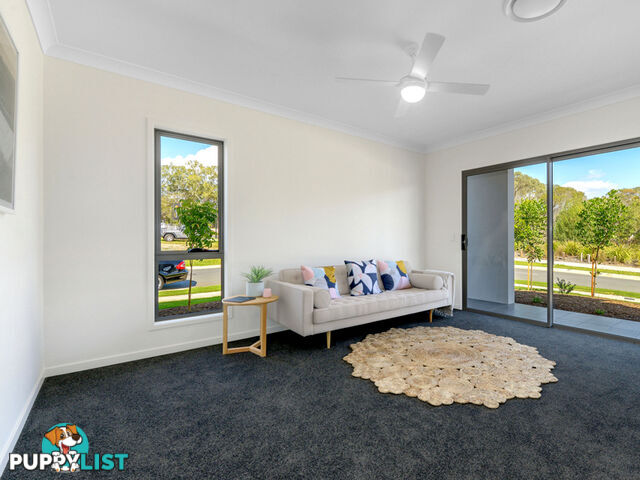 18 Rossiter Street MORNINGSIDE QLD 4170