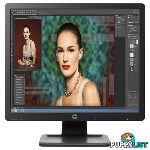 HP ProDisplay P19A 19" SXGA TN Monitor