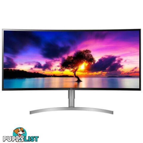 LG 38WK95C-W 38" WQHD+ IPS LED HDR10 Curved UltraWide Professional Monitor