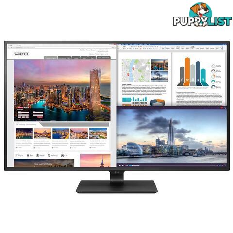 LG 43UD79-B 43" 4K UHD IPS LED Monitor