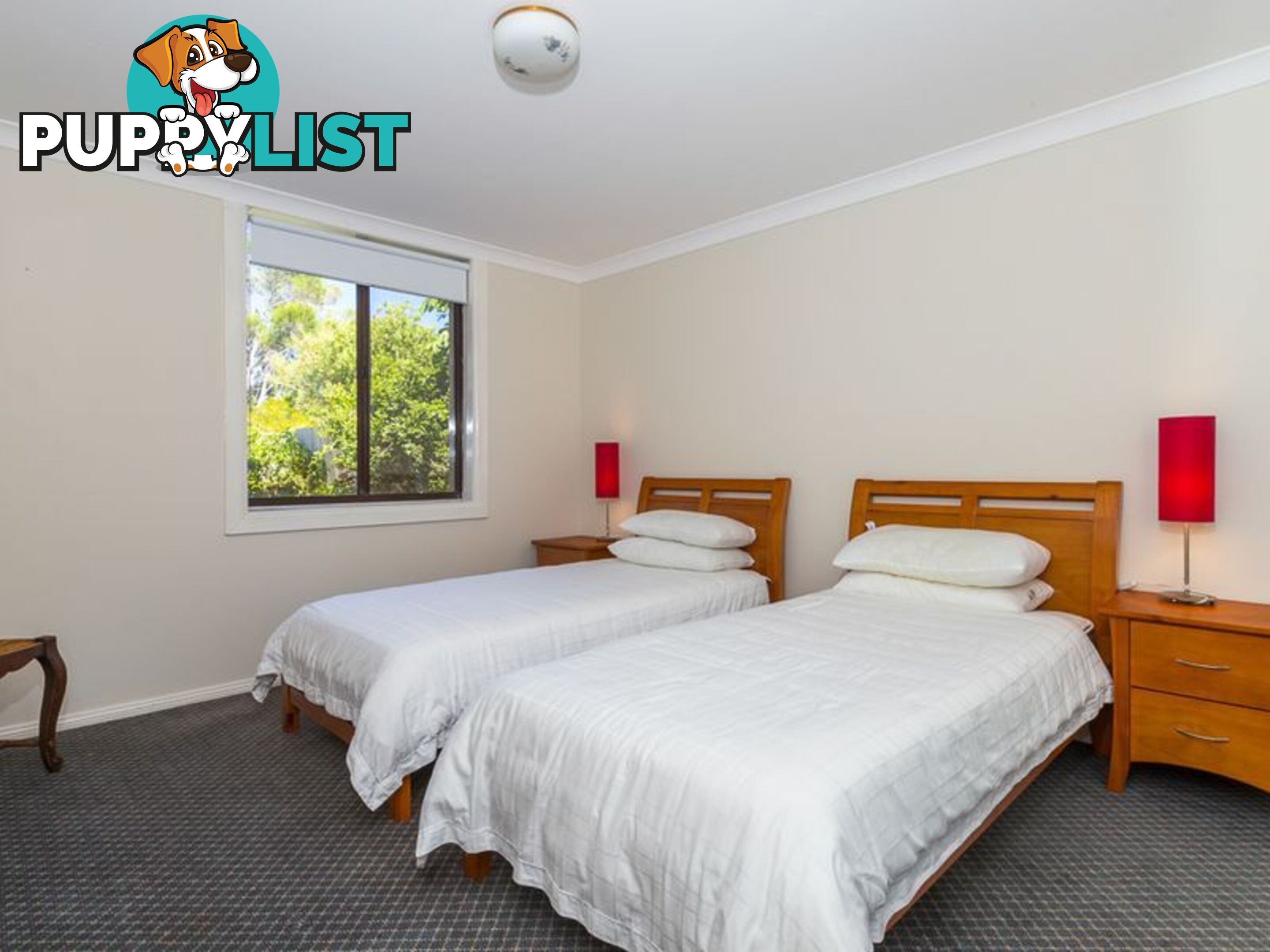 28 Longpoint Street POTATO POINT NSW 2545