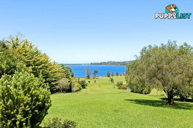 48 Windward Close TUROSS HEAD NSW 2537