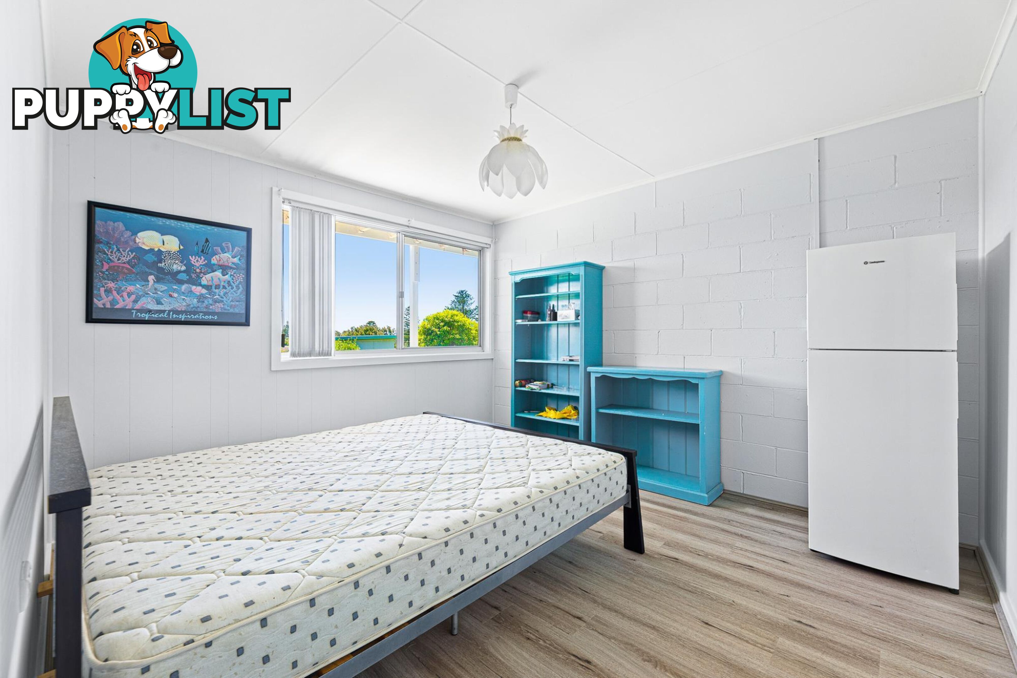 58 Evans Road TUROSS HEAD NSW 2537