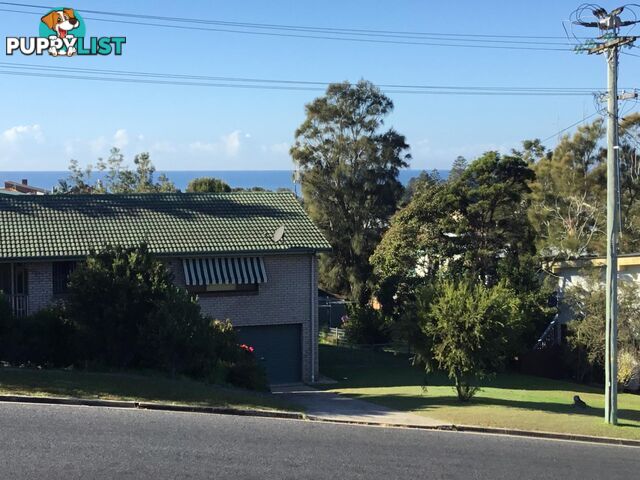 33 Marlin Street TUROSS HEAD NSW 2537