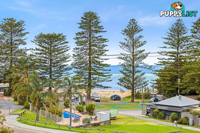 90 Nelson Parade TUROSS HEAD NSW 2537