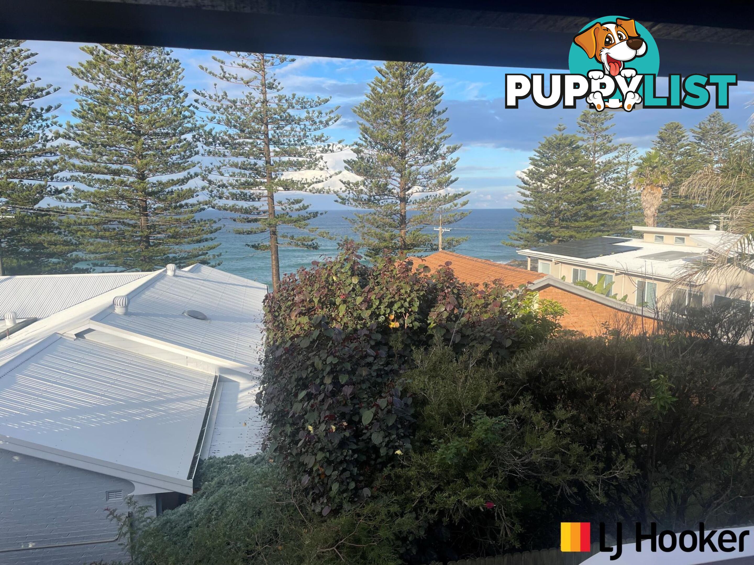23 Kitchener Road TUROSS HEAD NSW 2537