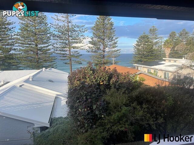 23 Kitchener Road TUROSS HEAD NSW 2537
