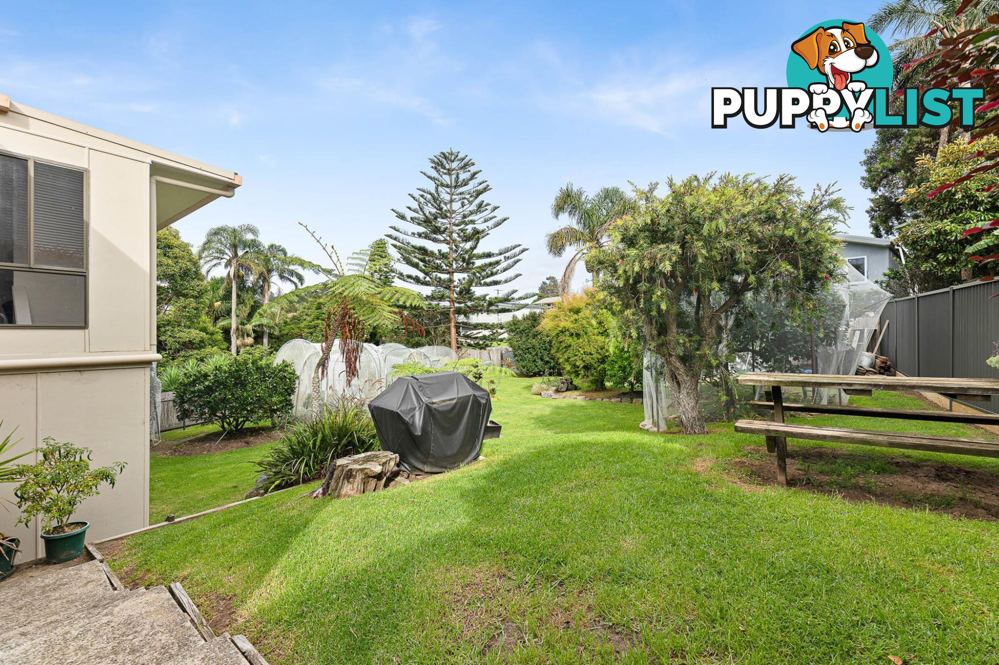 6 Snapper Place TUROSS HEAD NSW 2537