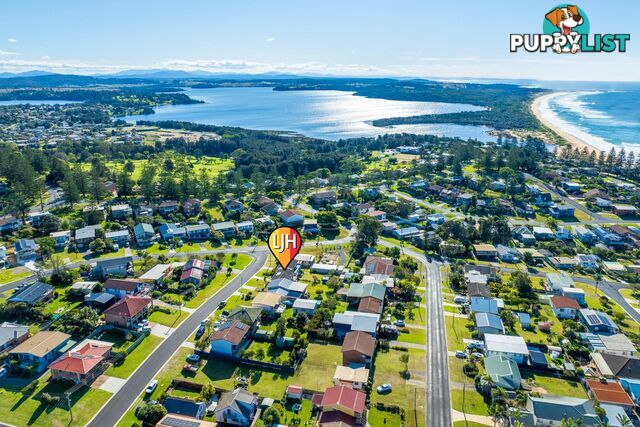 6 Swordfish Street TUROSS HEAD NSW 2537