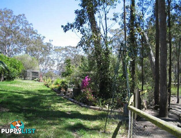 133 Tuross Boulevarde TUROSS HEAD NSW 2537