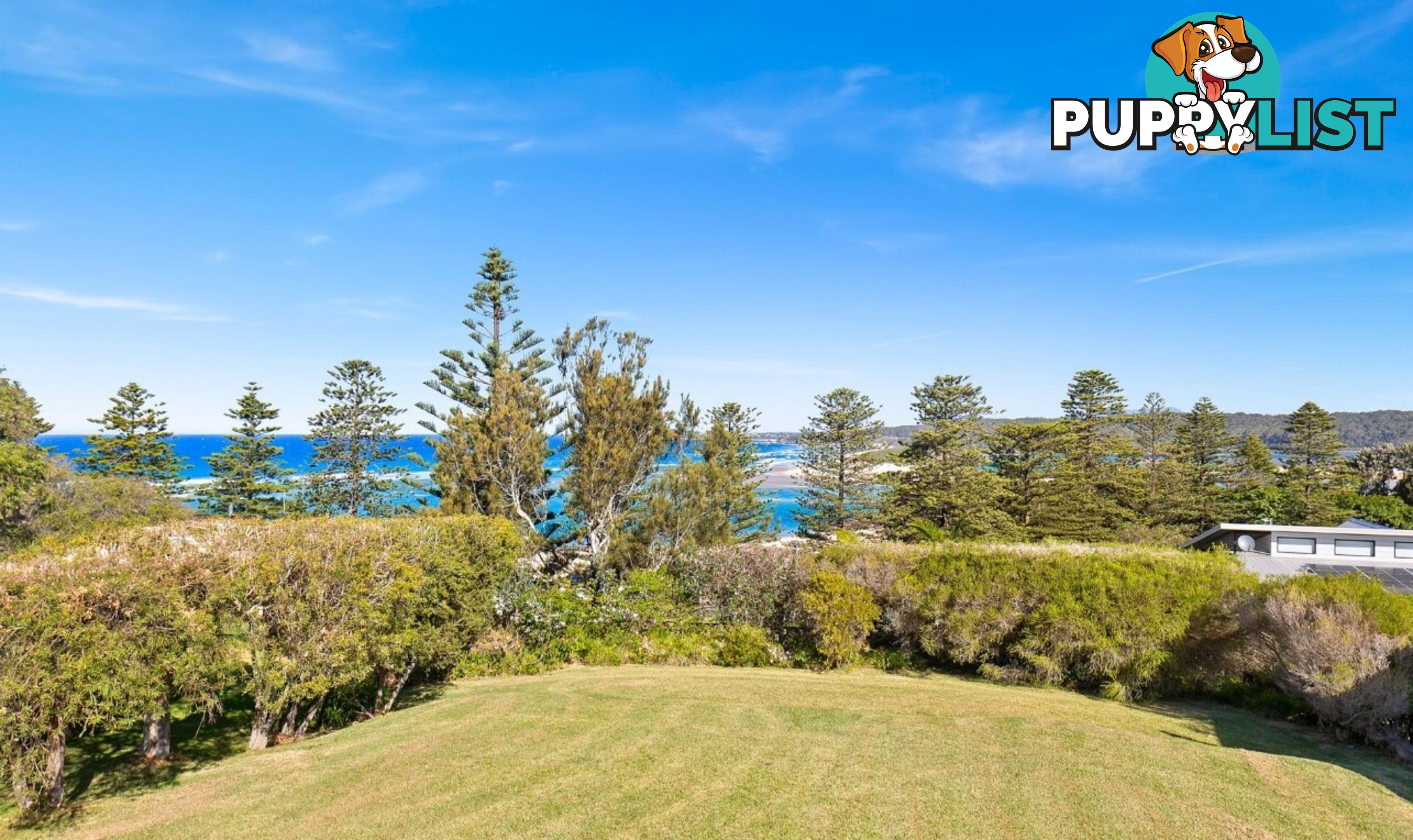 3 Raleigh Crescent TUROSS HEAD NSW 2537