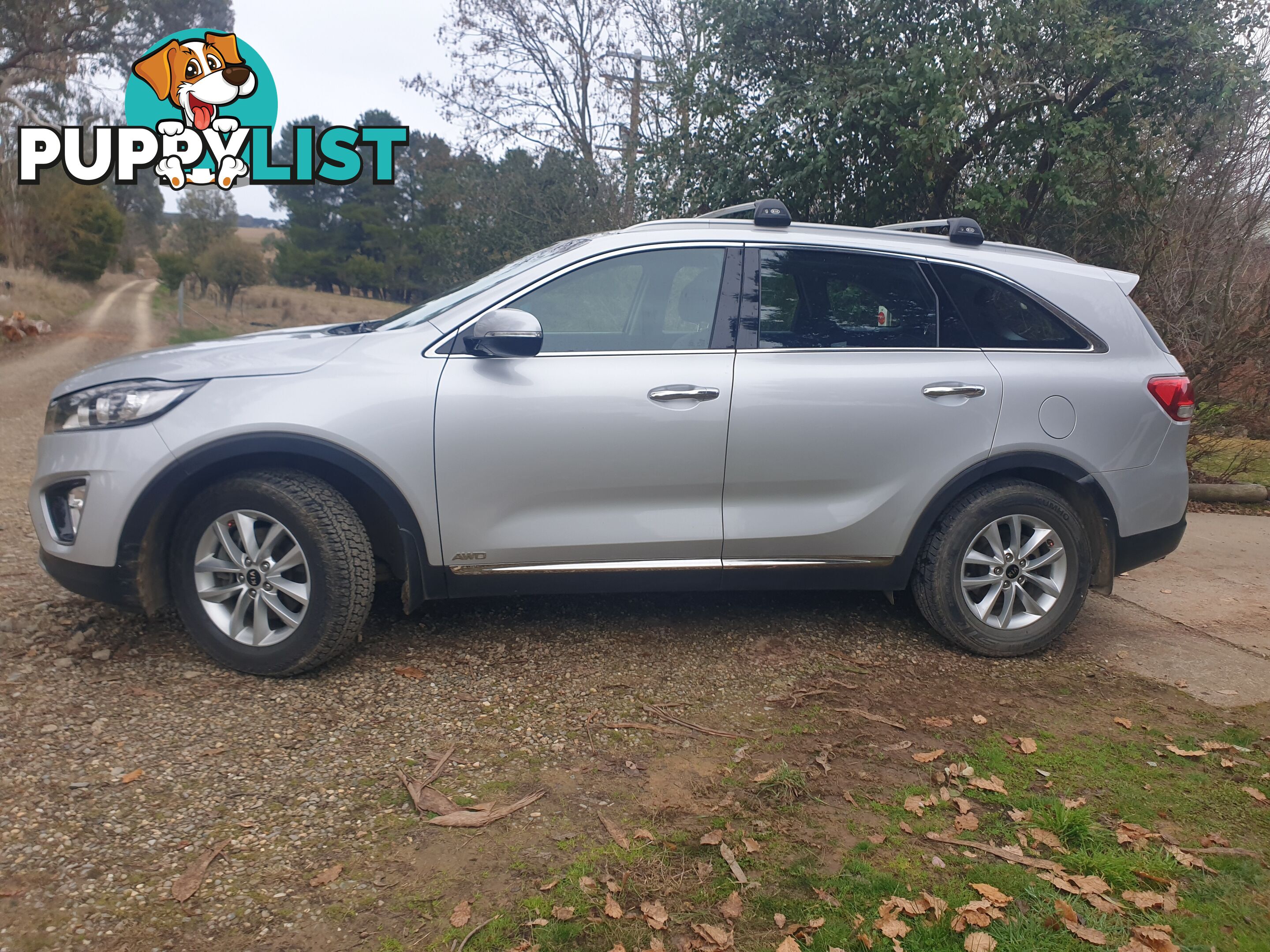 2017 Kia Sorento UNSPECIFIED AWD SUV Automatic 2.2 l diesel