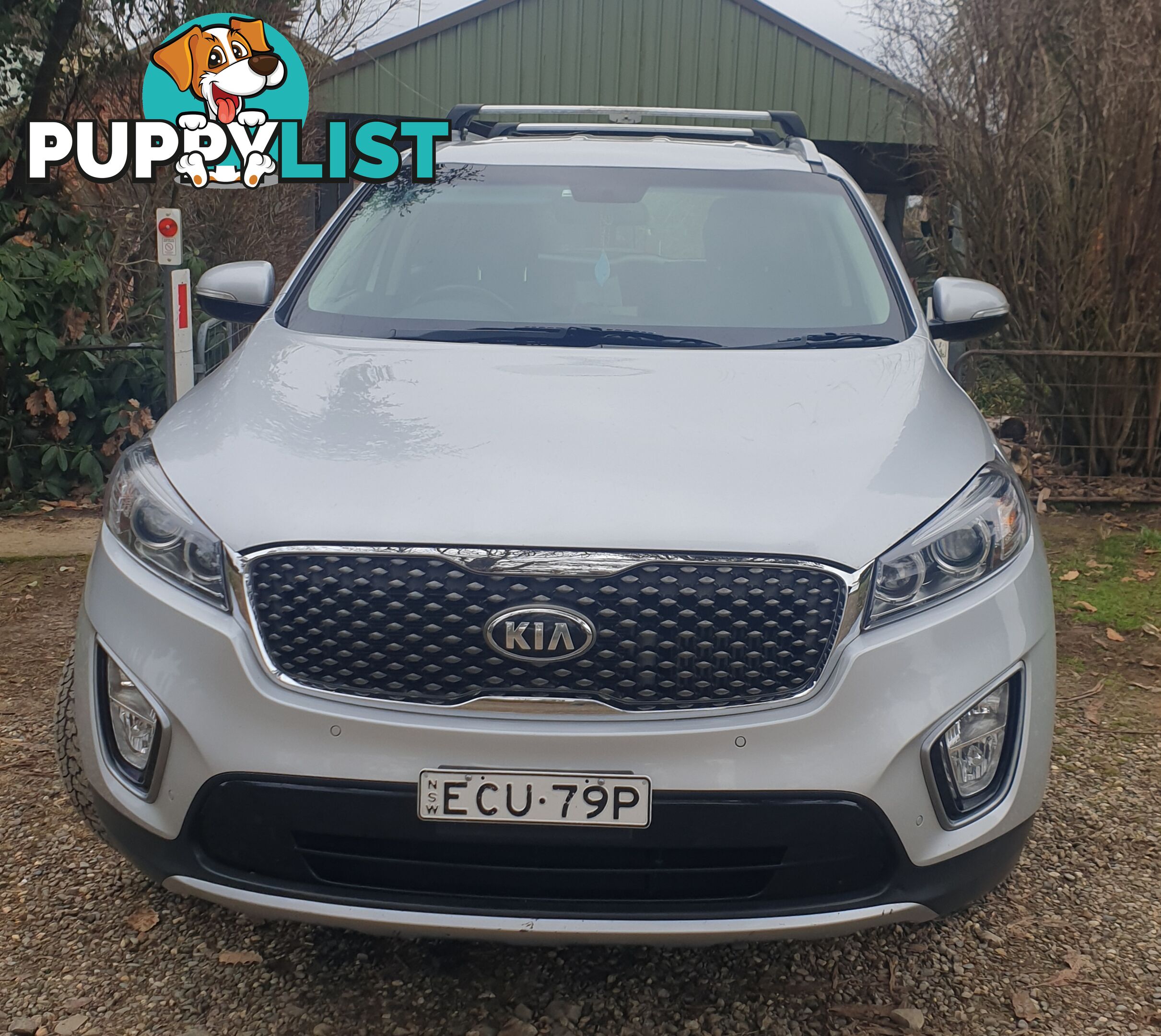 2017 Kia Sorento UNSPECIFIED AWD SUV Automatic 2.2 l diesel