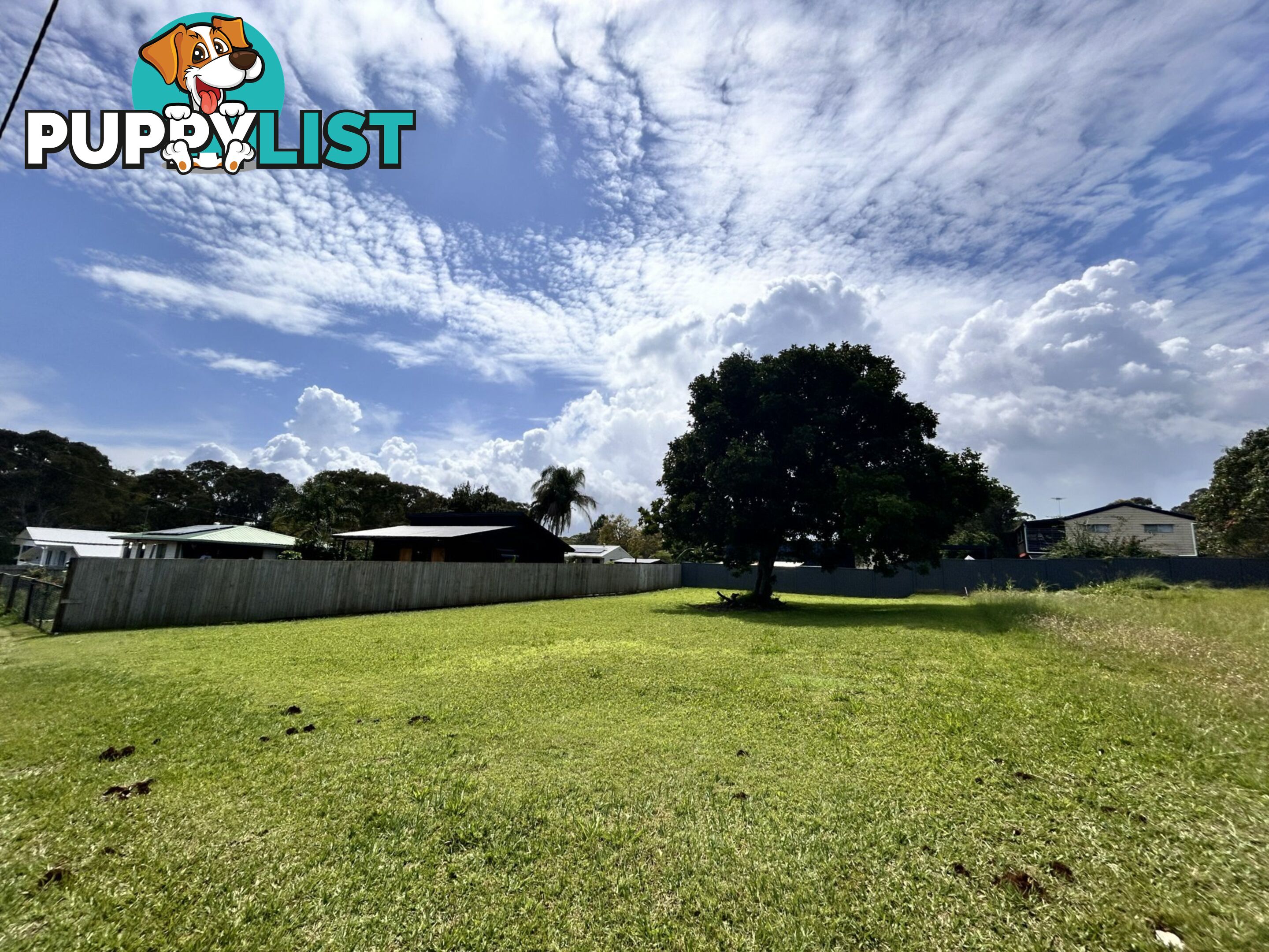 38 Lonicera Street MACLEAY ISLAND QLD 4184