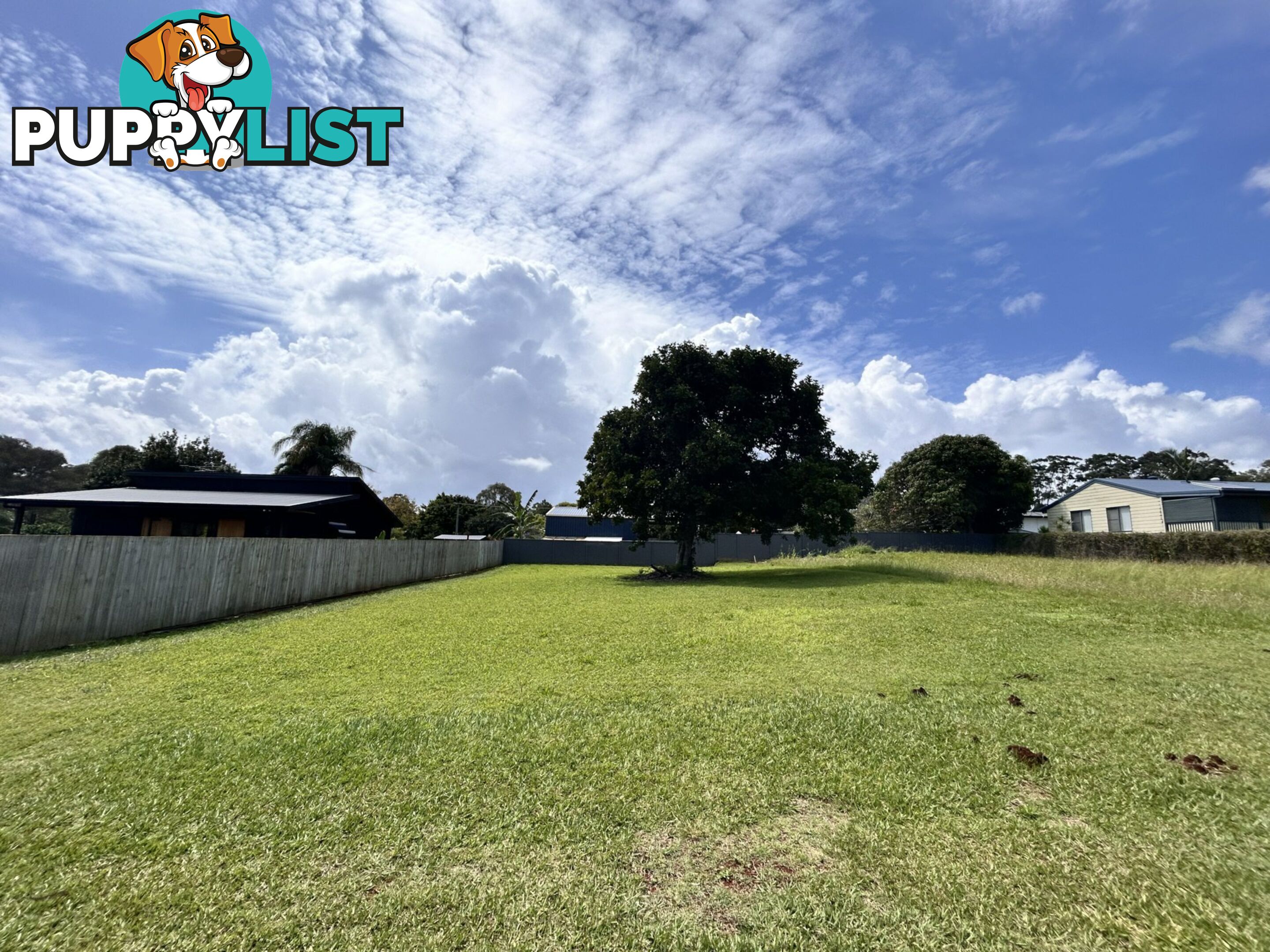 38 Lonicera Street MACLEAY ISLAND QLD 4184