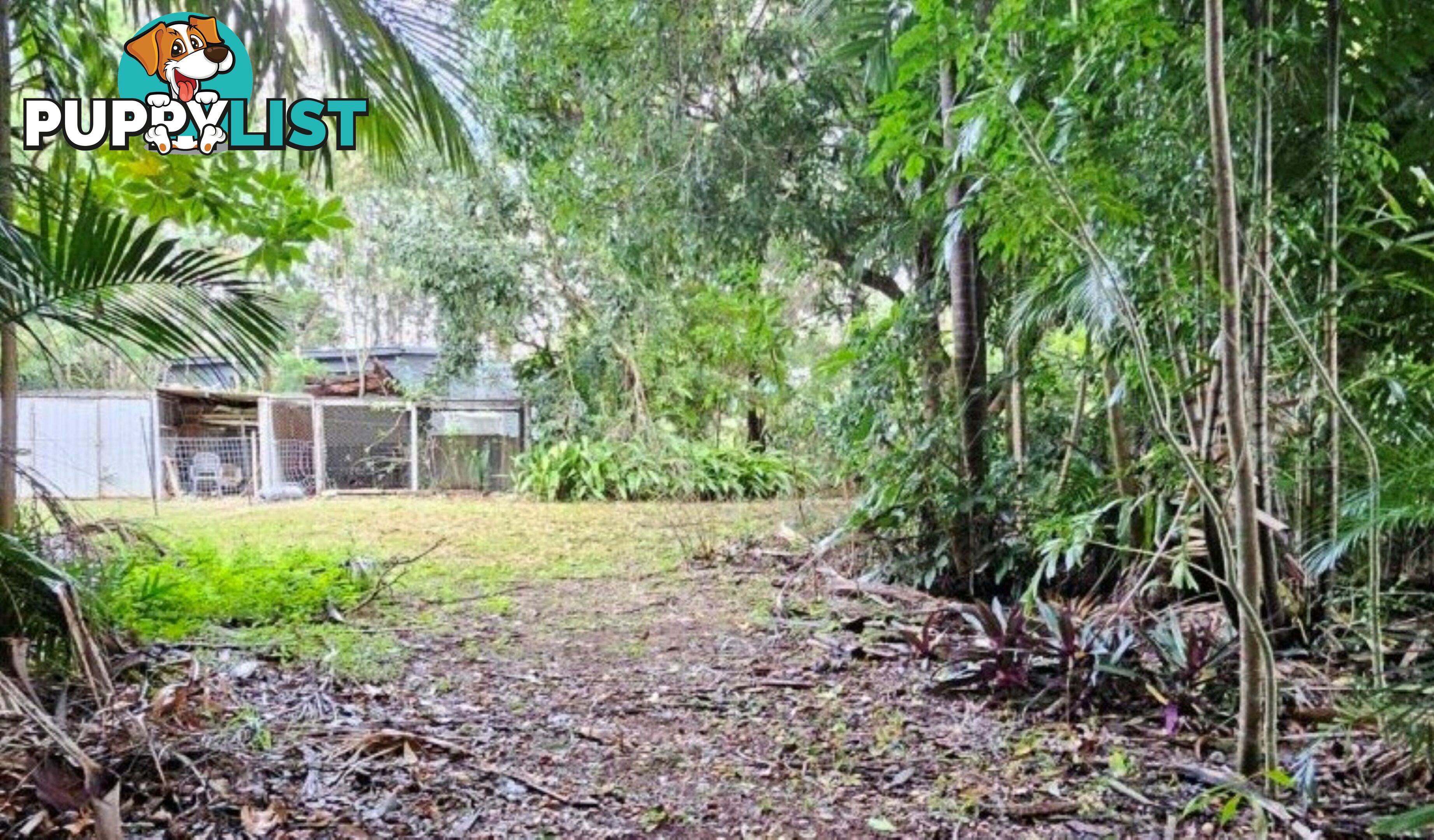 183 High Central Road MACLEAY ISLAND QLD 4184