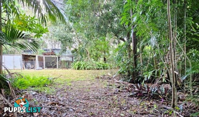 183 High Central Road MACLEAY ISLAND QLD 4184