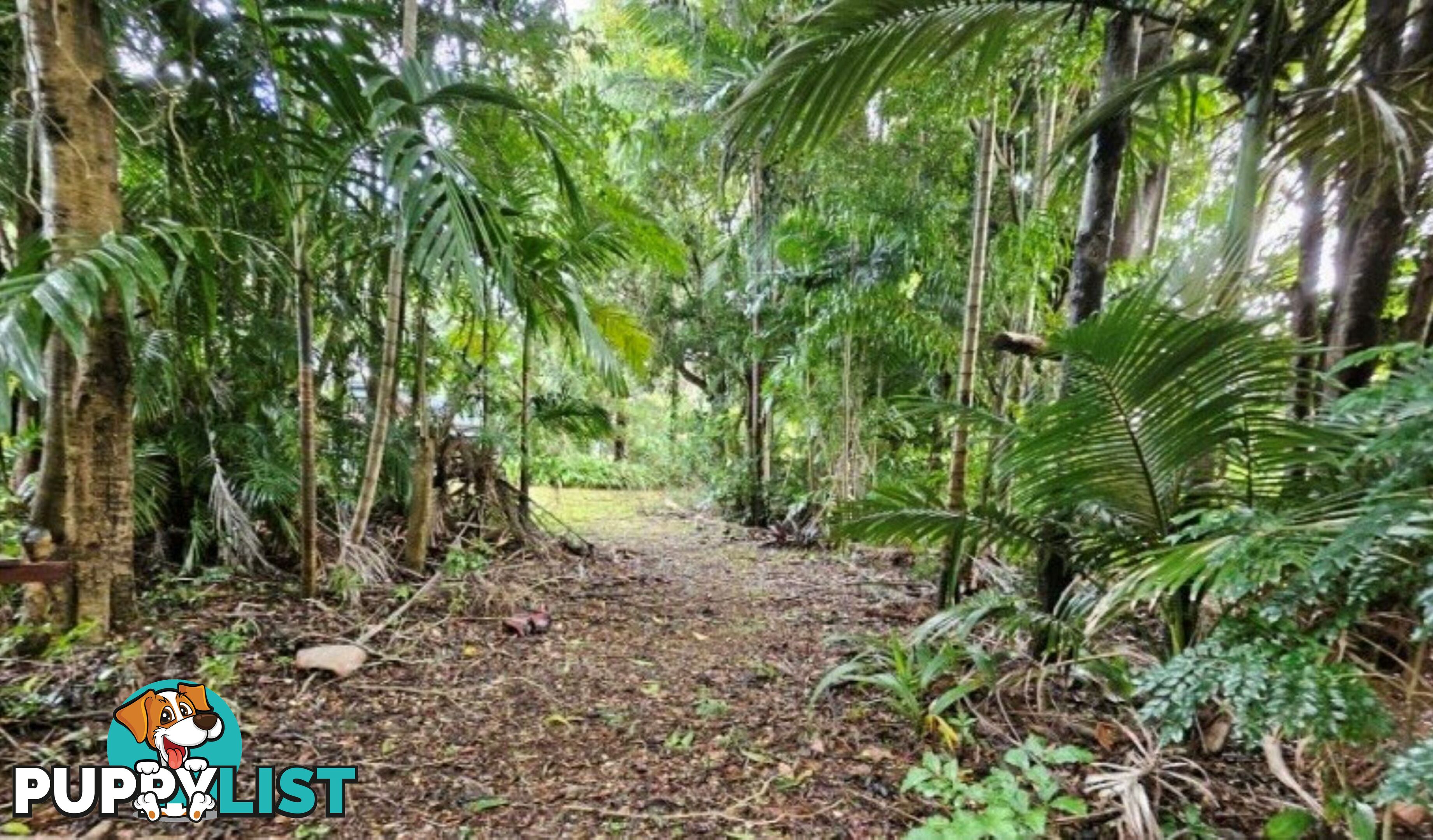 183 High Central Road MACLEAY ISLAND QLD 4184