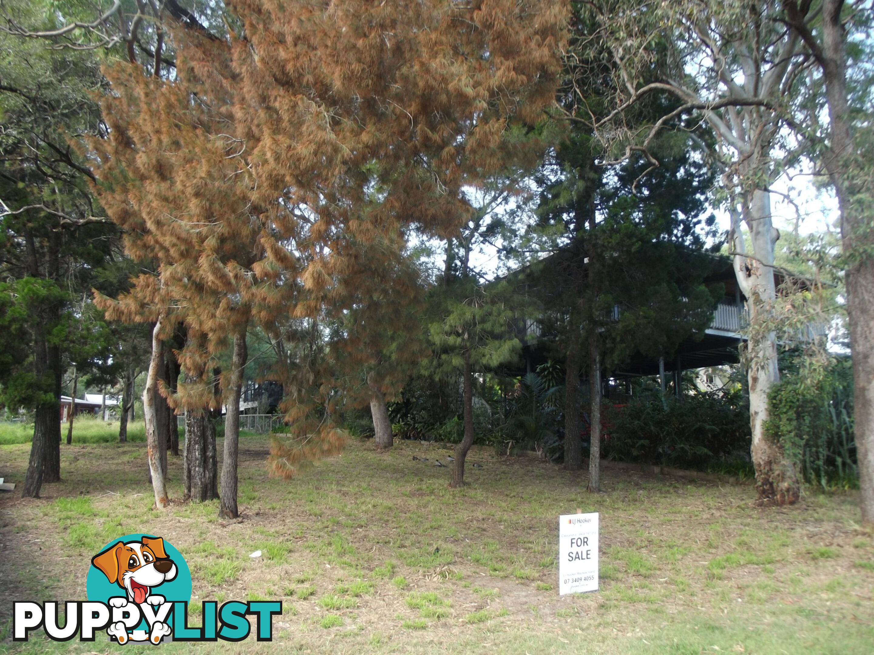 8 Attunga Street MACLEAY ISLAND QLD 4184