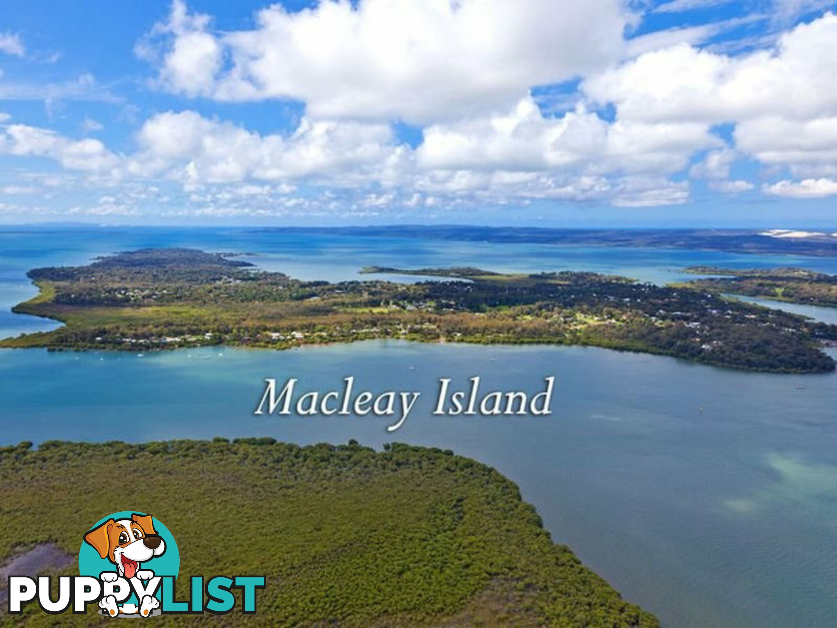 8 Attunga Street MACLEAY ISLAND QLD 4184